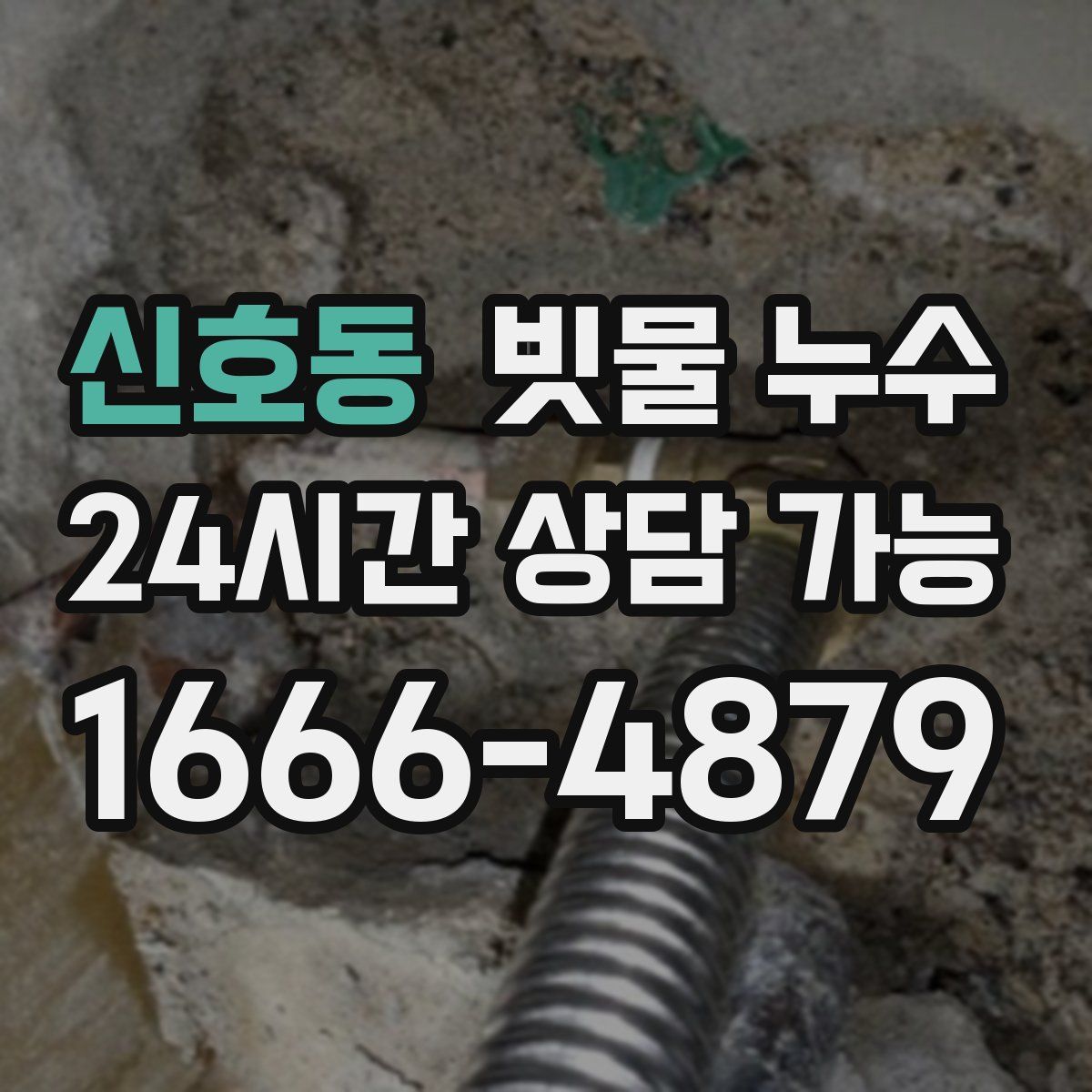 신호동 빗물 누수