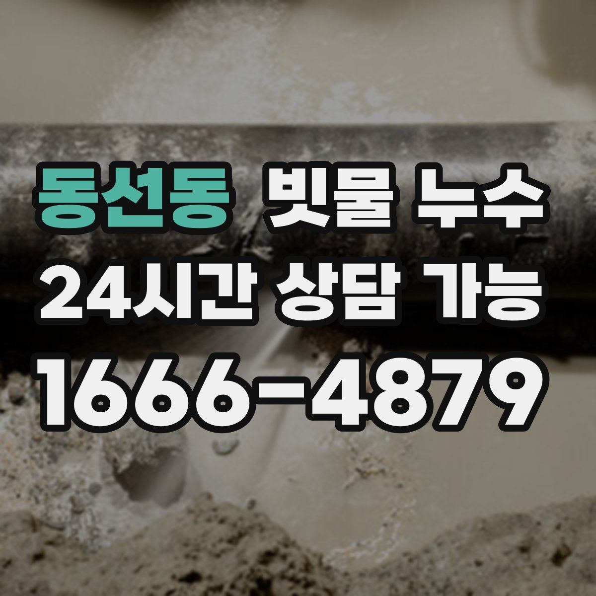 동선동 빗물 누수