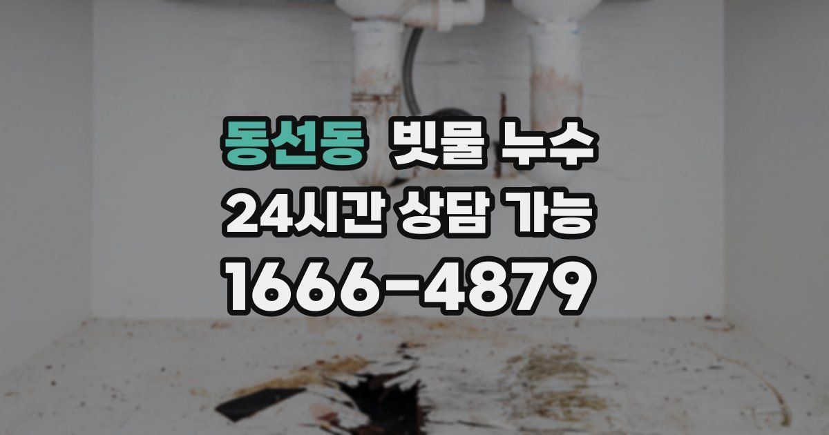 동선동 빗물 누수
