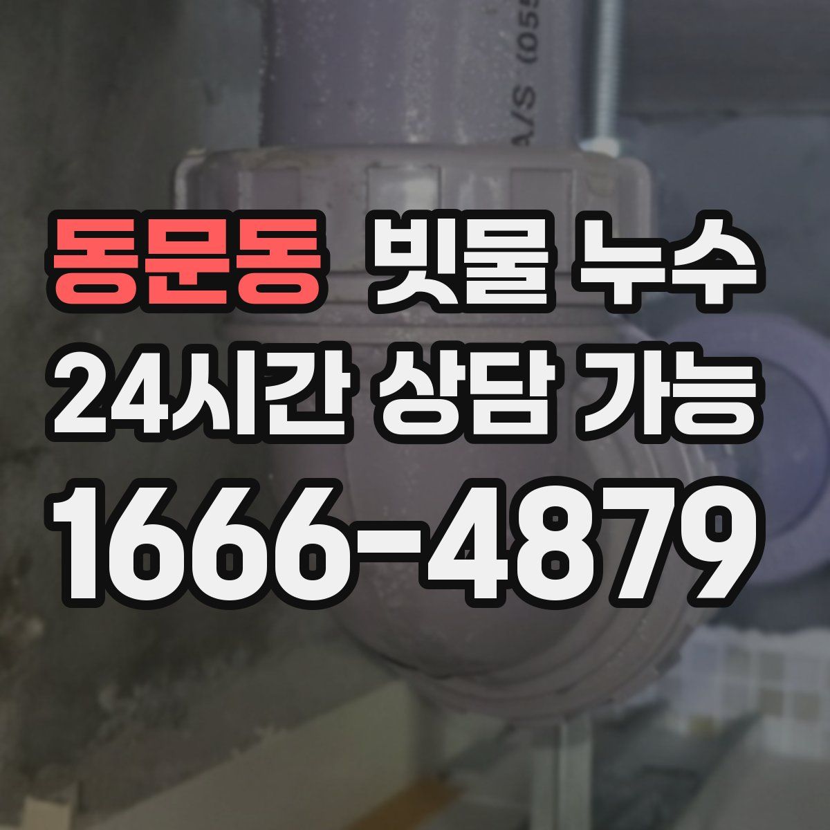 동문동 빗물 누수
