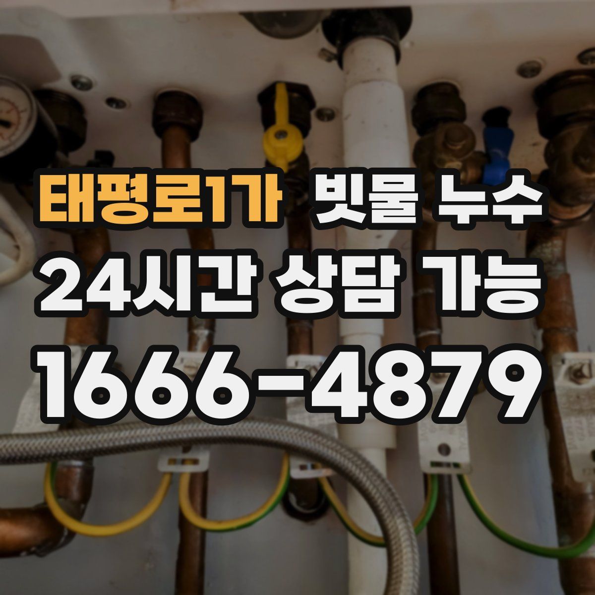 태평로1가 빗물 누수