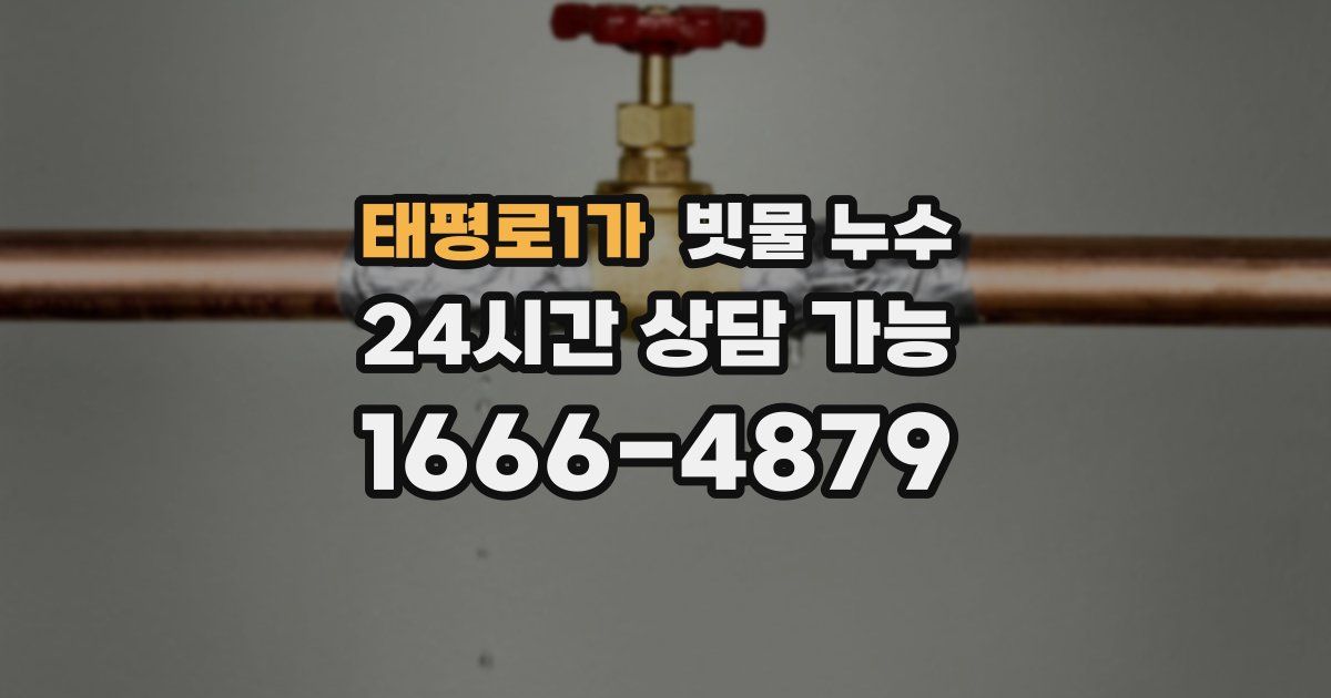태평로1가 빗물 누수