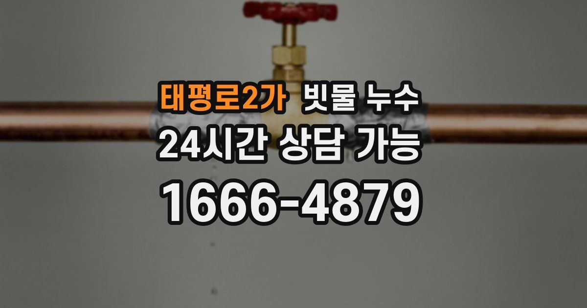 태평로2가 빗물 누수