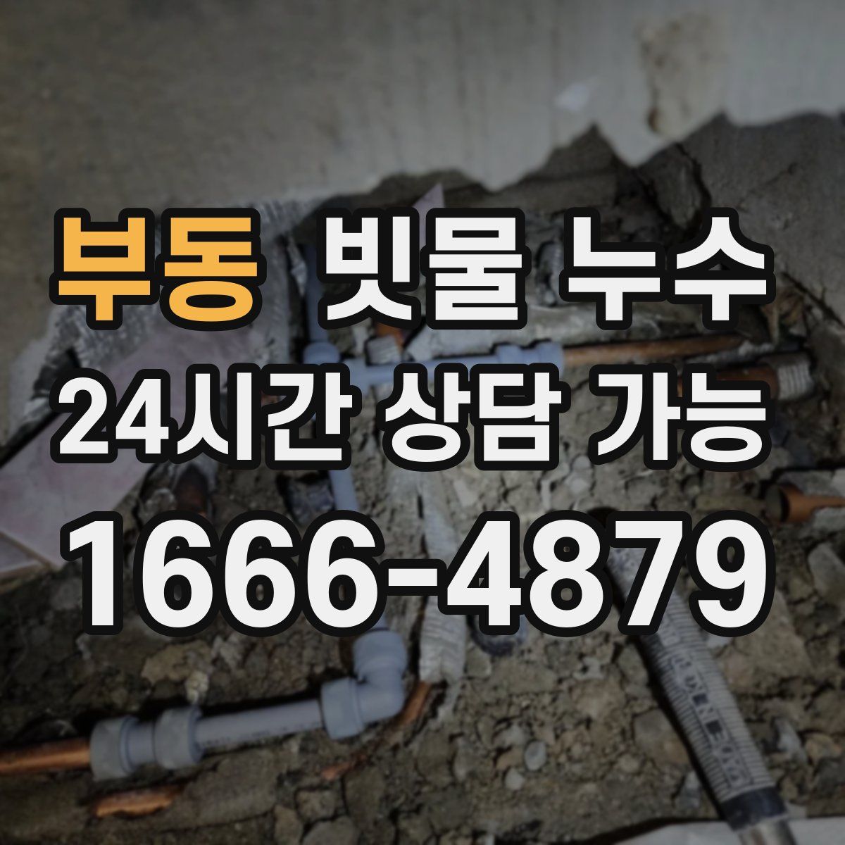 부동 빗물 누수