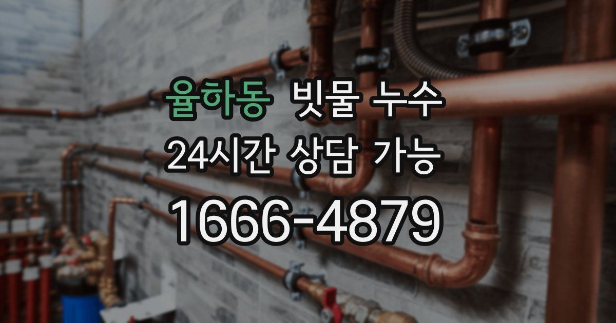 율하동 빗물 누수