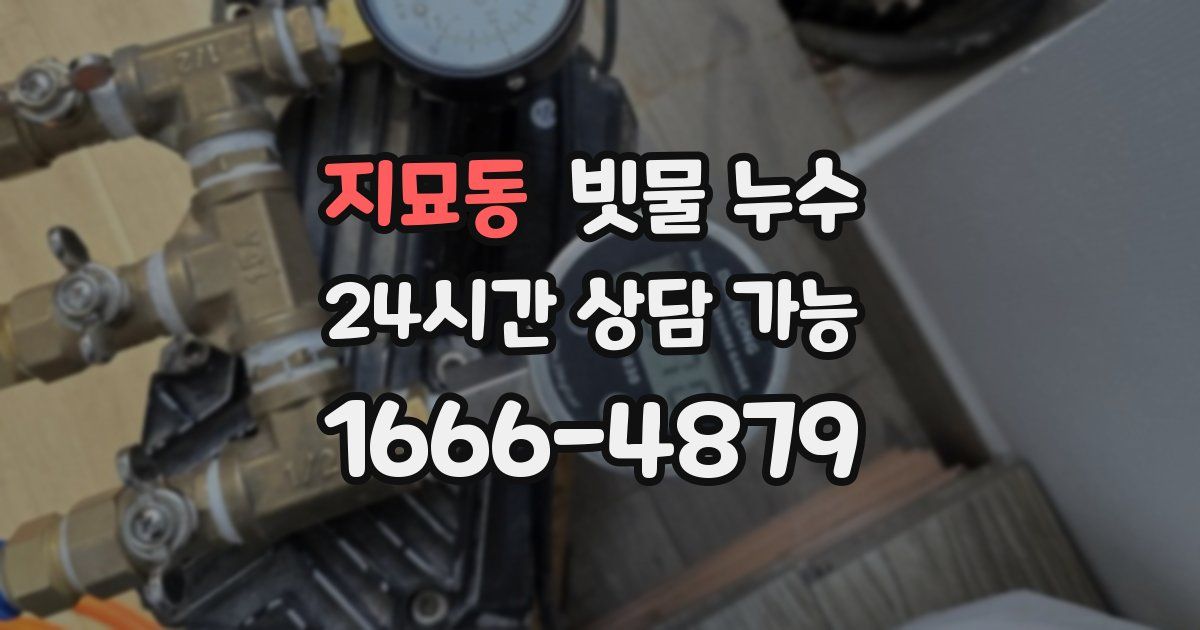 지묘동 빗물 누수