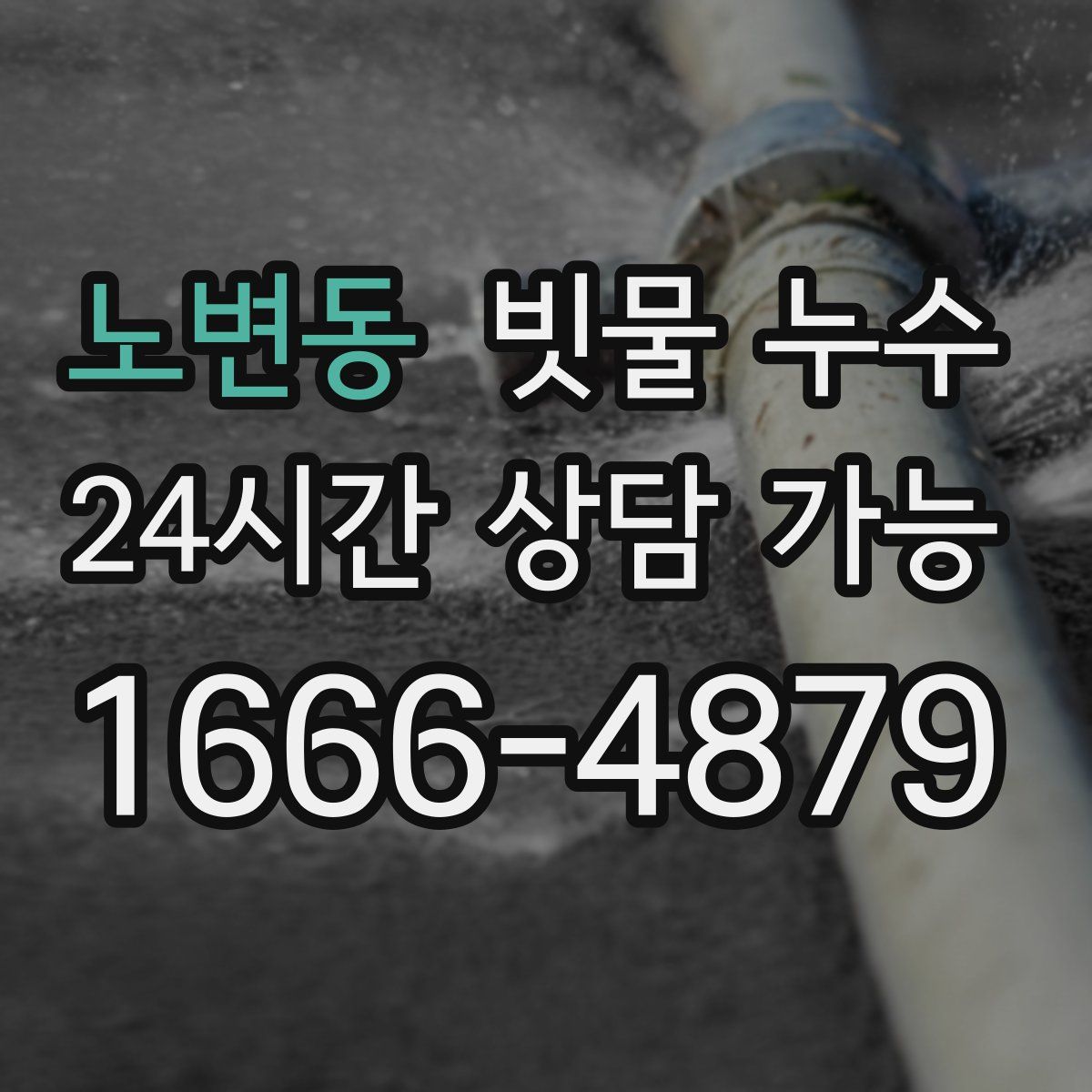 노변동 빗물 누수