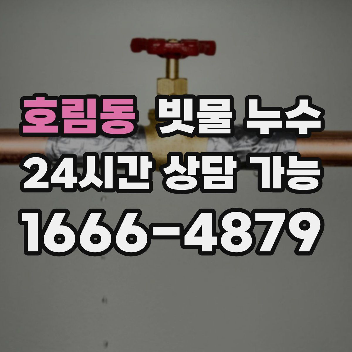 호림동 빗물 누수