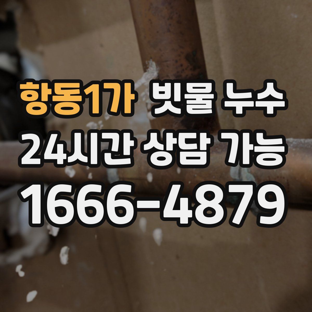 항동1가 빗물 누수