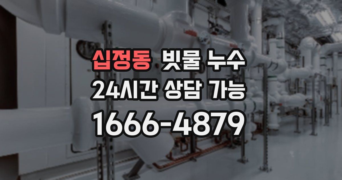 십정동 빗물 누수