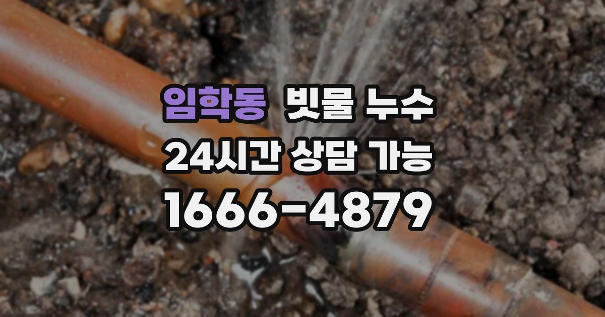 임학동 빗물 누수