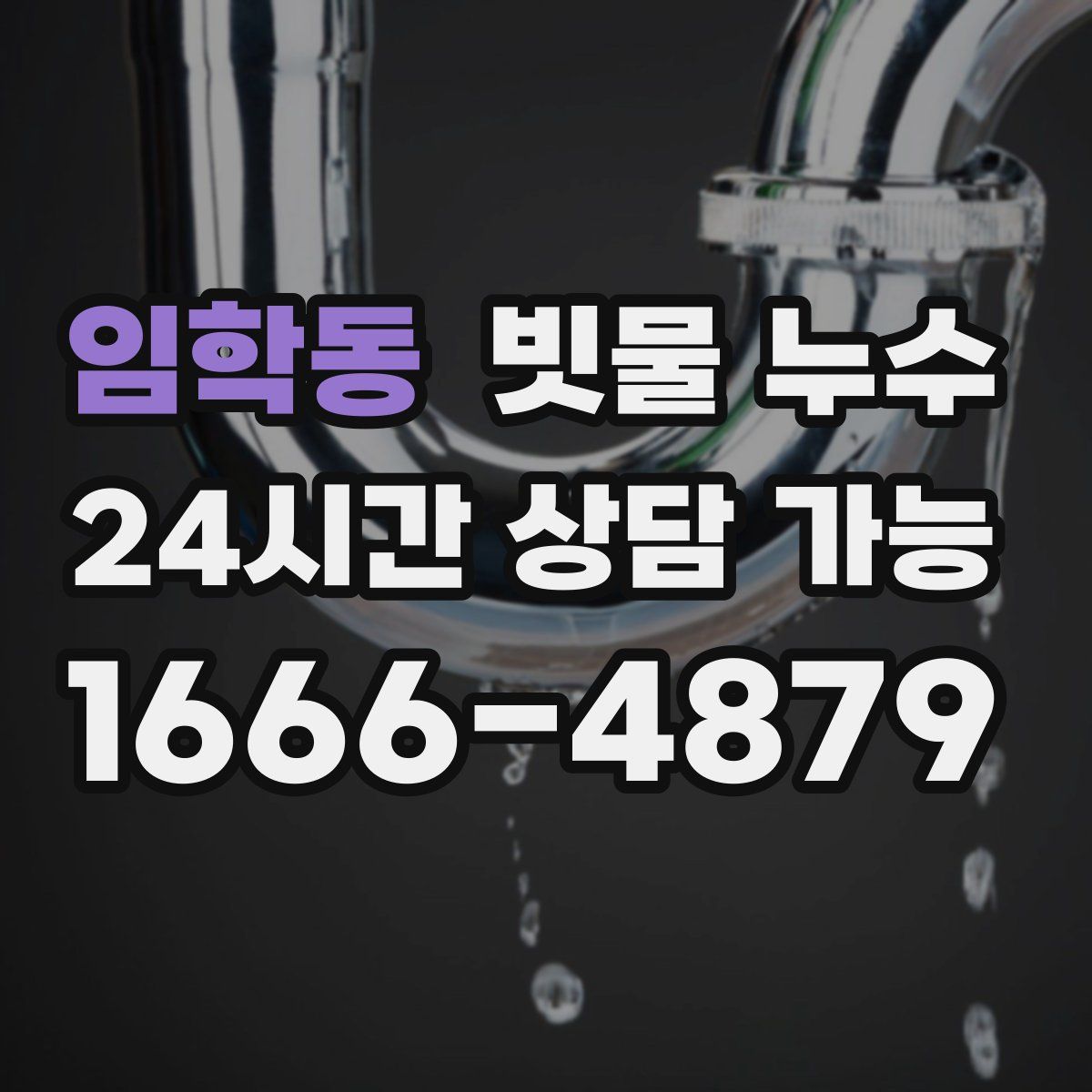 임학동 빗물 누수