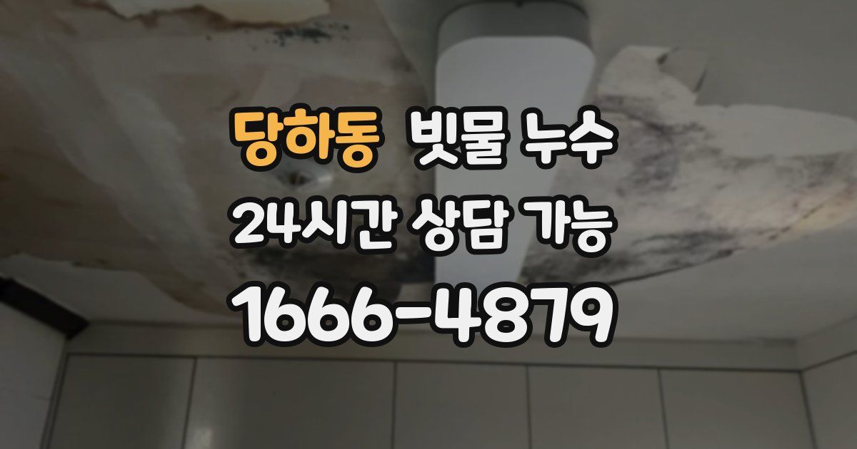 당하동 빗물 누수