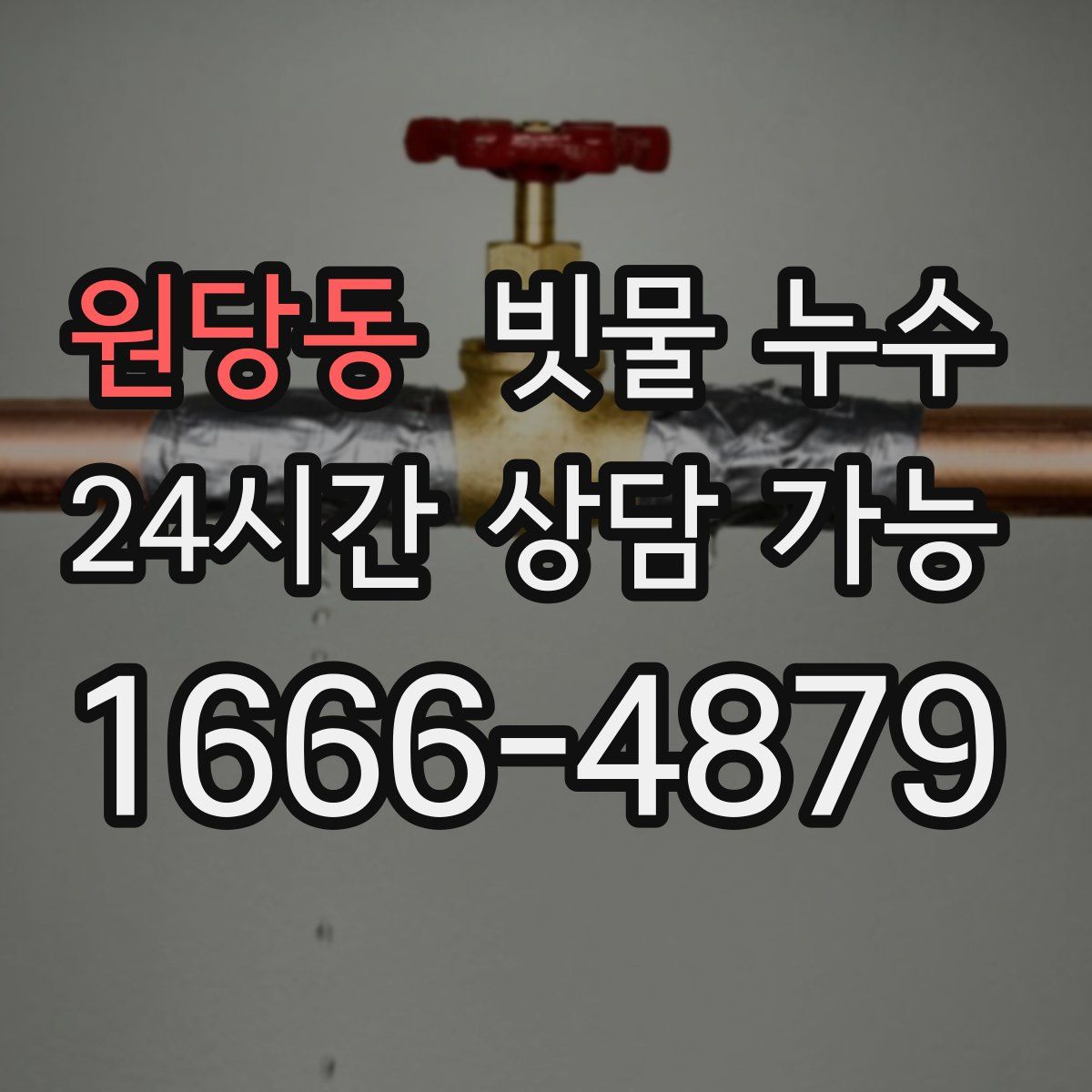 원당동 빗물 누수