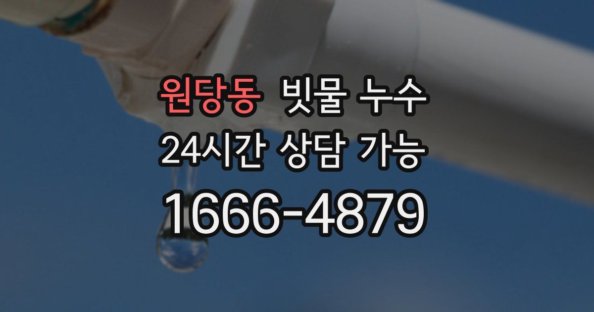 원당동 빗물 누수