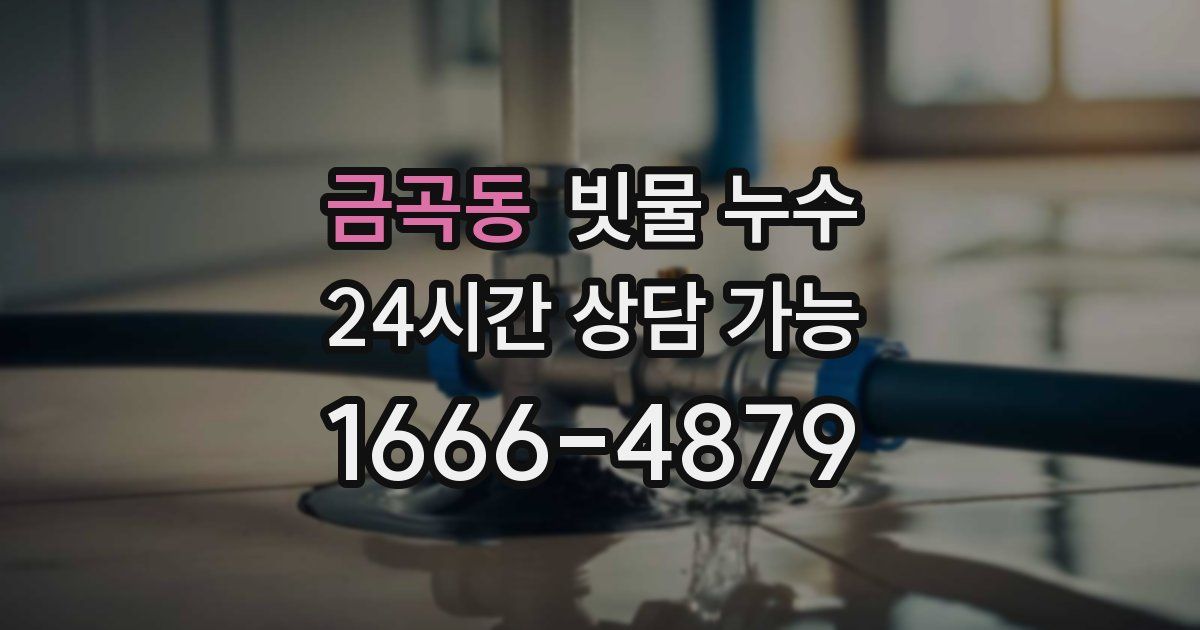 금곡동 빗물 누수