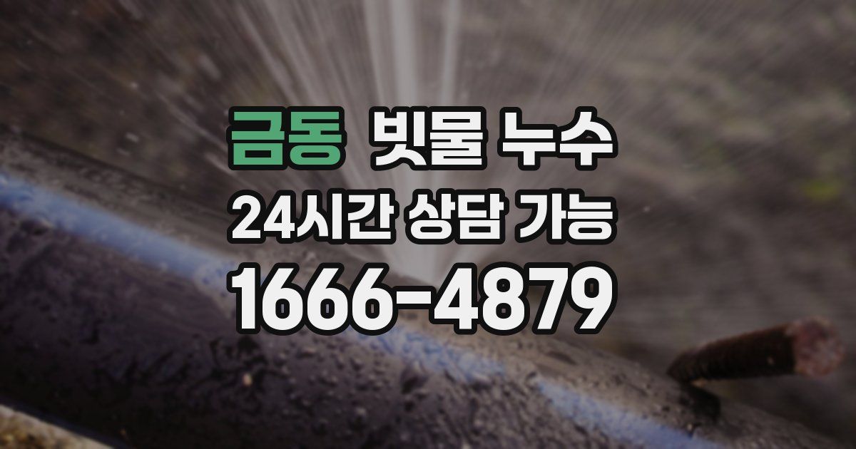 금동 빗물 누수