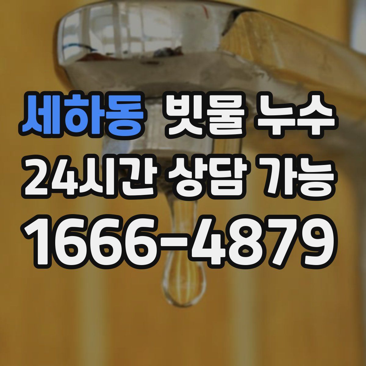 세하동 빗물 누수