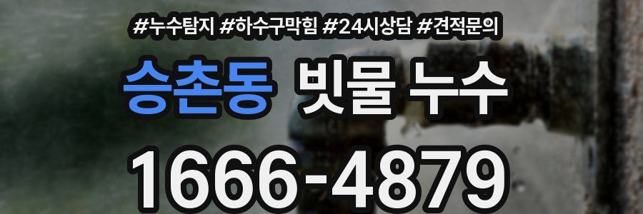 승촌동 빗물 누수