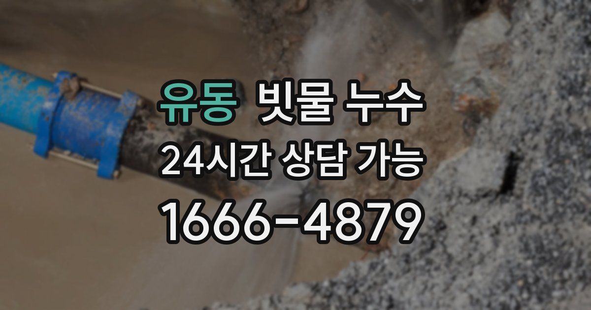 유동 빗물 누수