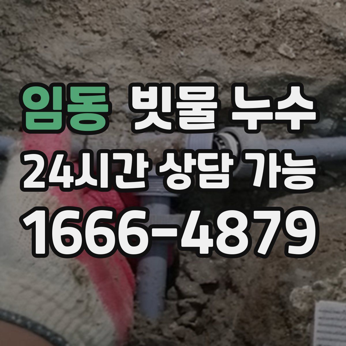 임동 빗물 누수
