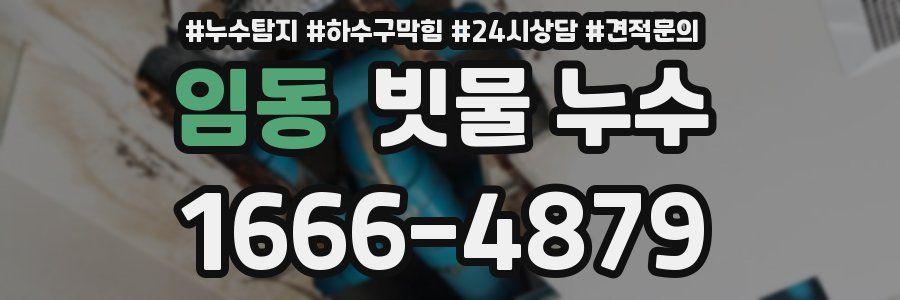 임동 빗물 누수