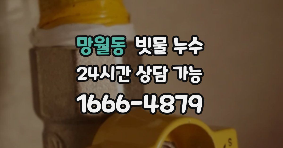 망월동 빗물 누수