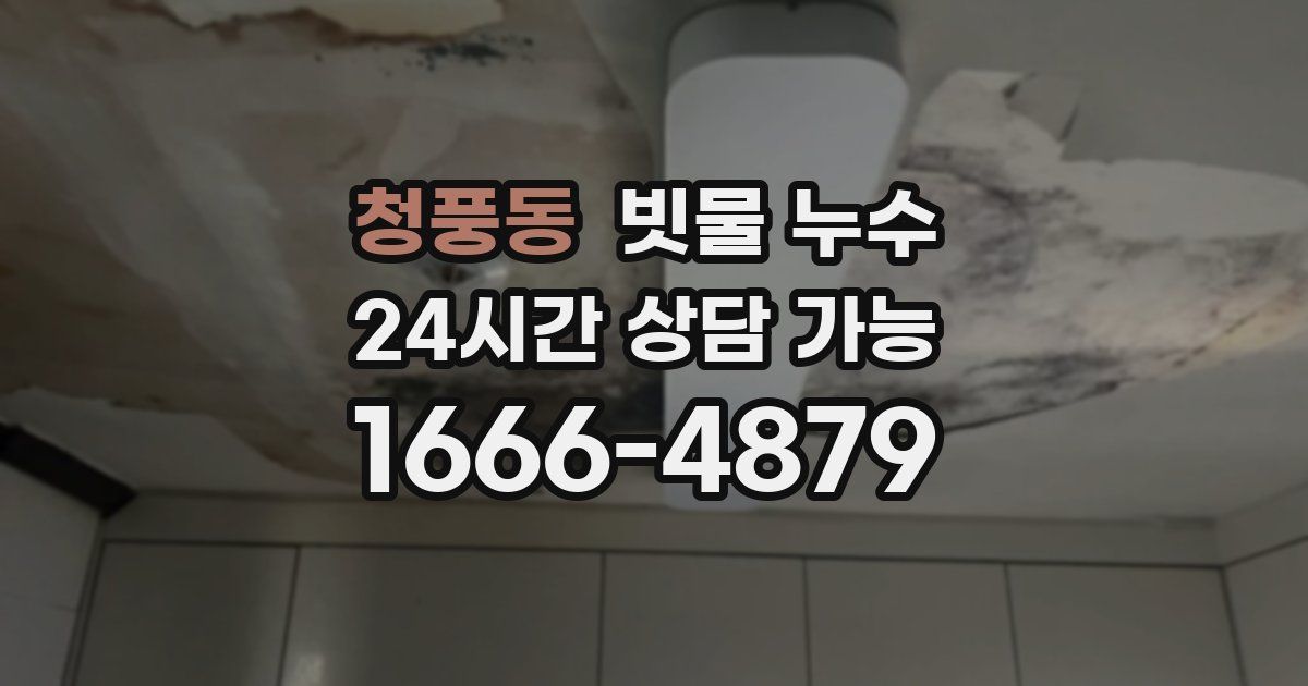 청풍동 빗물 누수