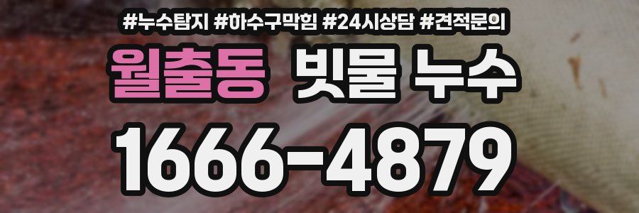 월출동 빗물 누수