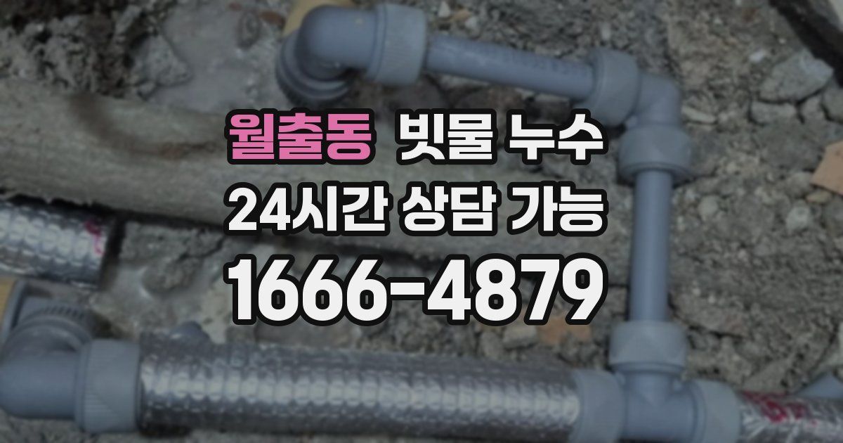 월출동 빗물 누수