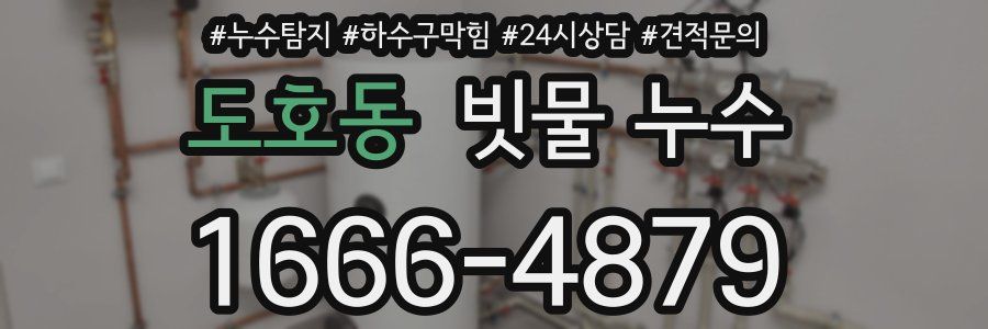 도호동 빗물 누수