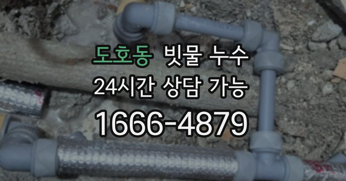 도호동 빗물 누수