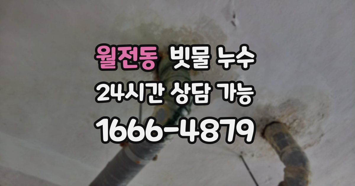월전동 빗물 누수