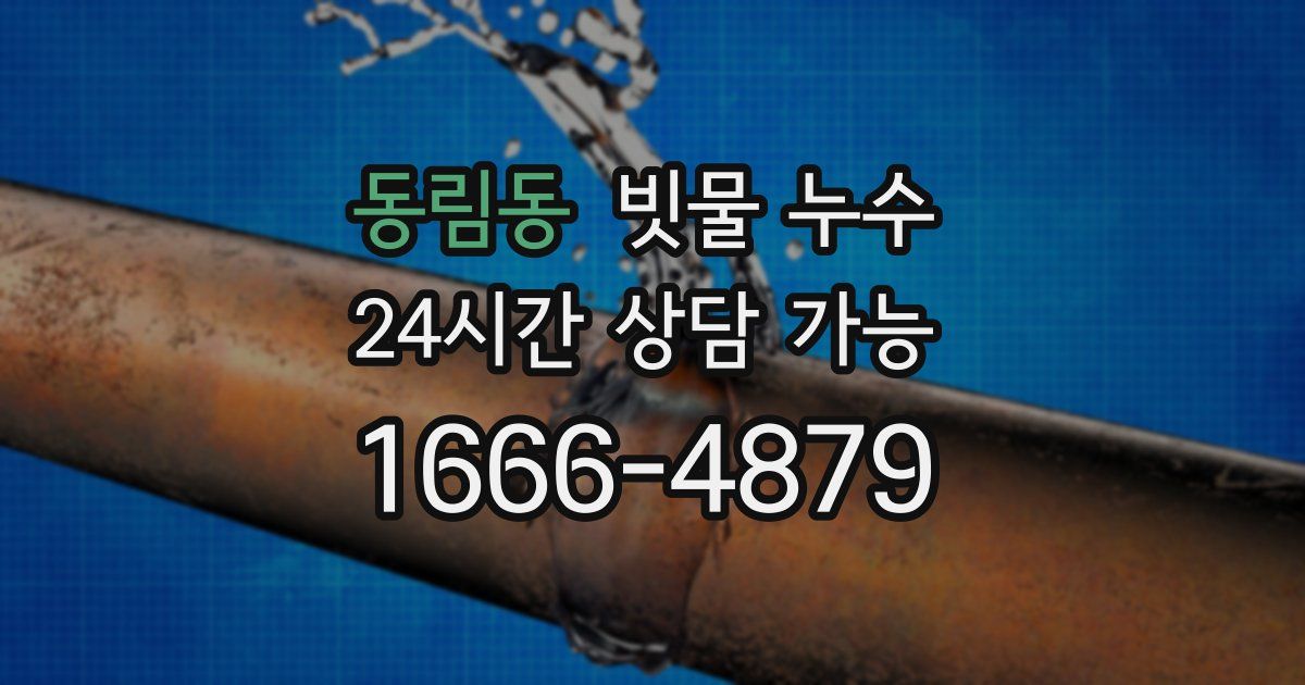 동림동 빗물 누수