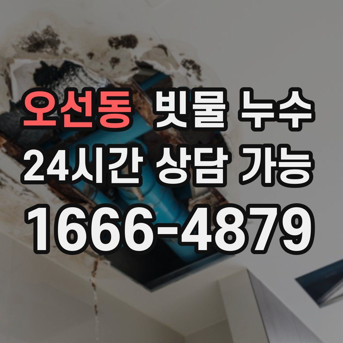 오선동 빗물 누수