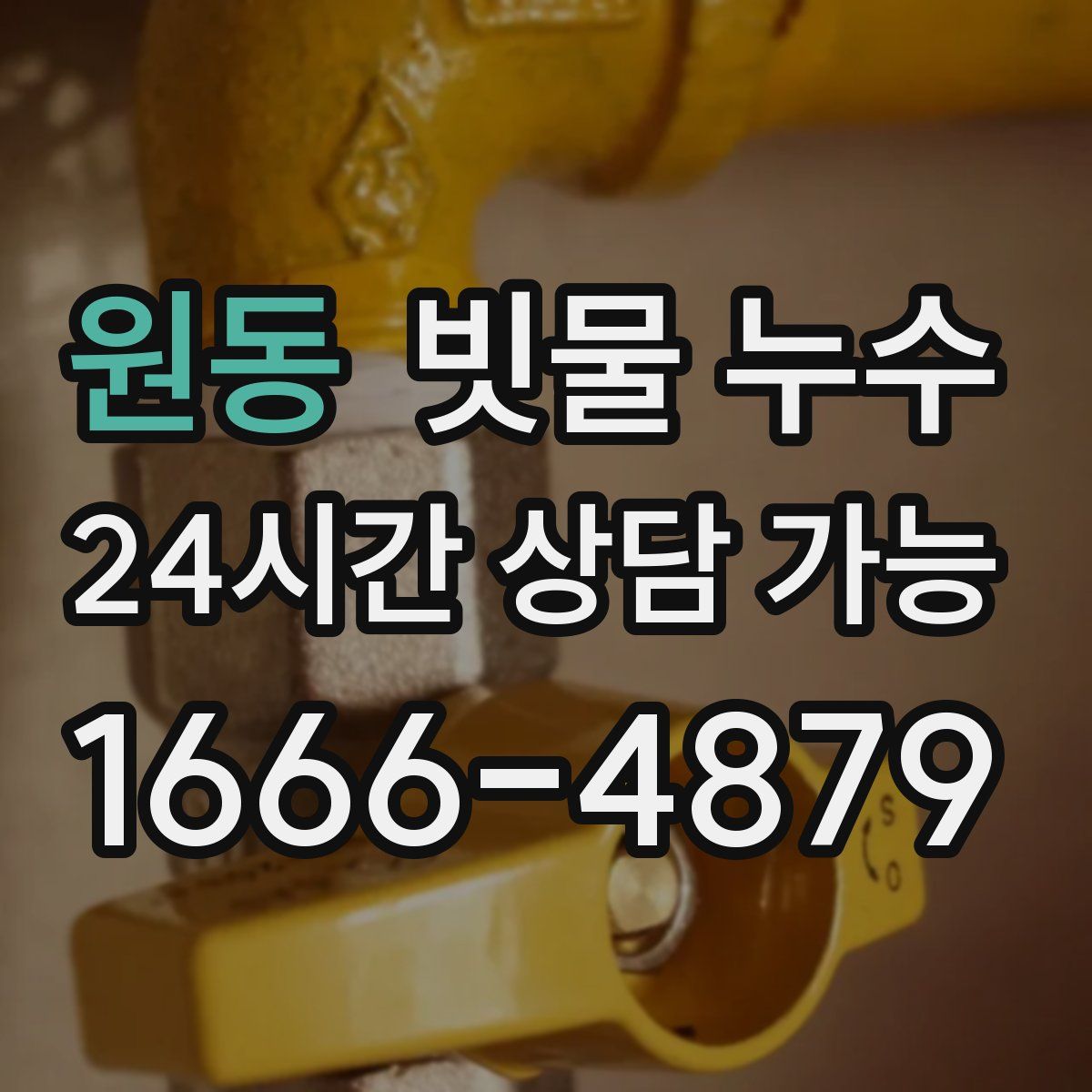 원동 빗물 누수