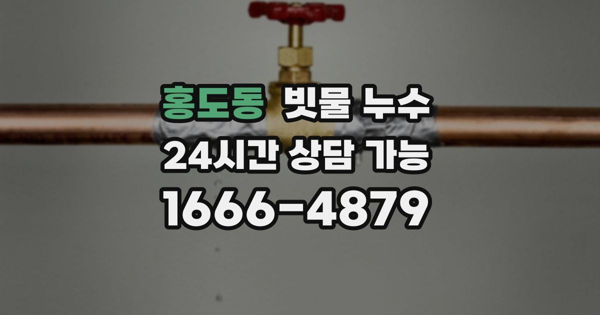 홍도동 빗물 누수