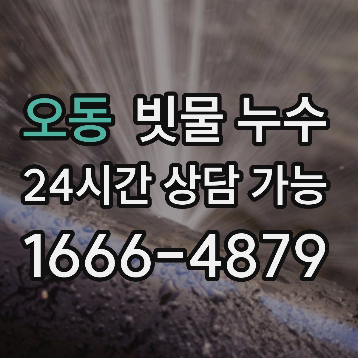 오동 빗물 누수