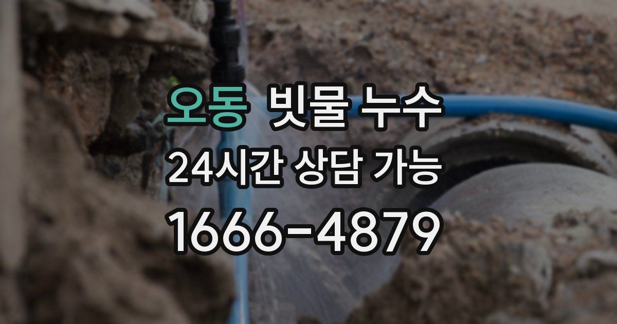 오동 빗물 누수