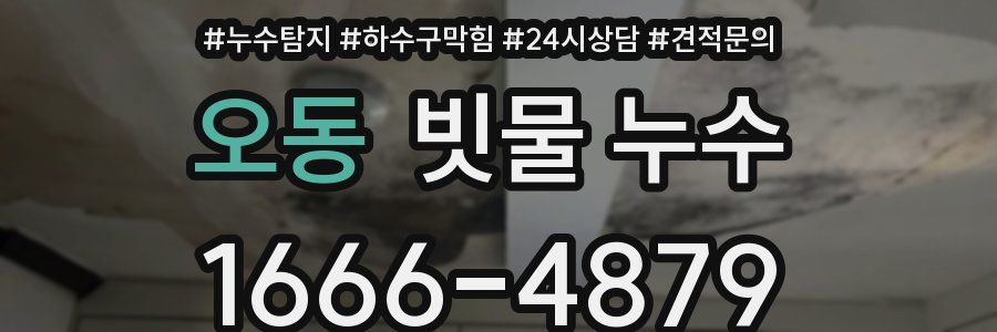 오동 빗물 누수