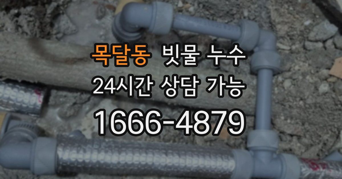 목달동 빗물 누수