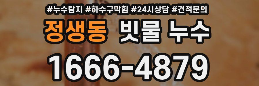 정생동 빗물 누수