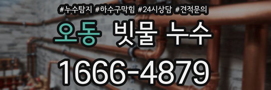 오동 빗물 누수