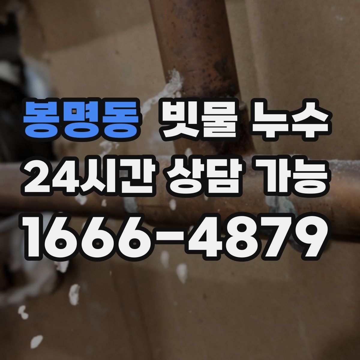 봉명동 빗물 누수