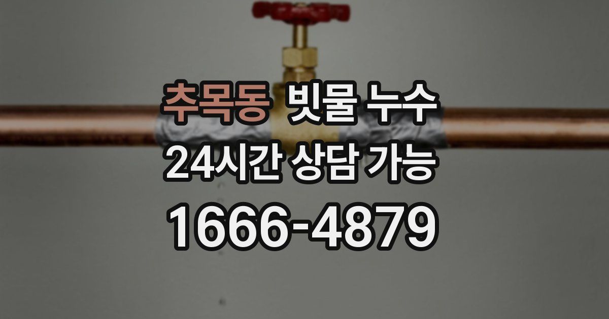 추목동 빗물 누수