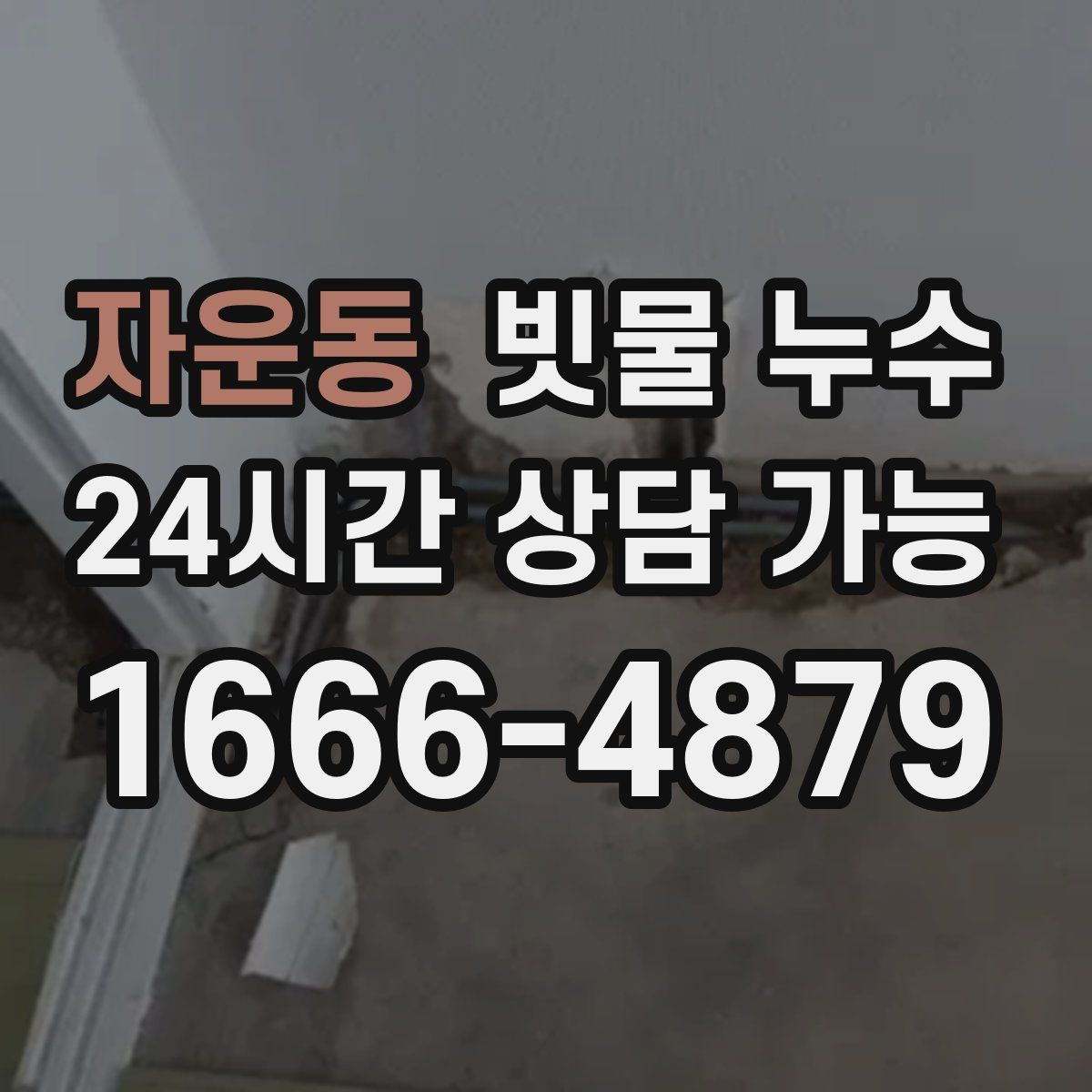 자운동 빗물 누수
