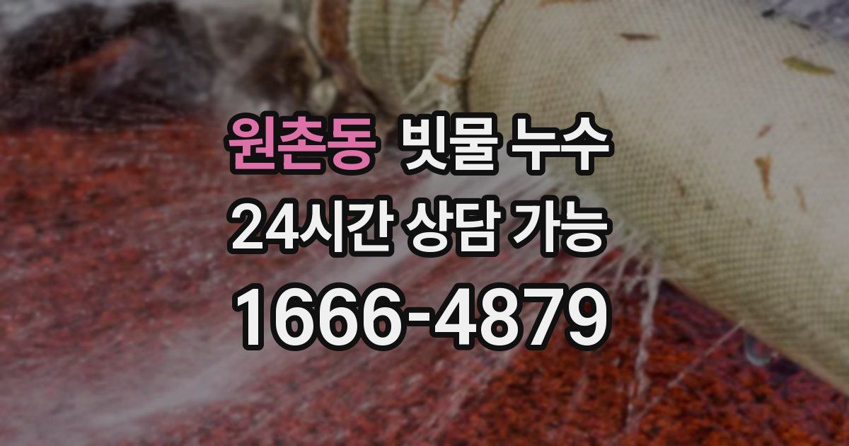 원촌동 빗물 누수