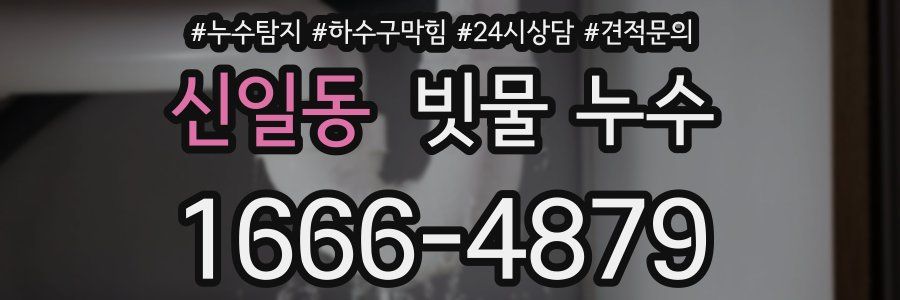 신일동 빗물 누수