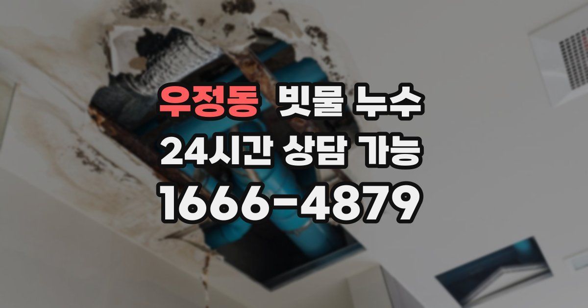 우정동 빗물 누수