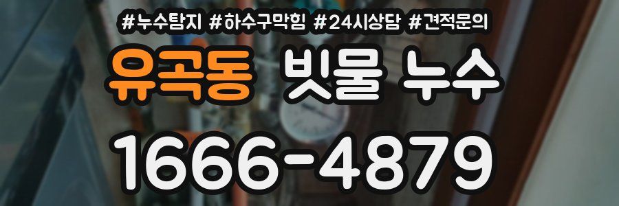 유곡동 빗물 누수
